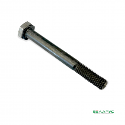 Болт М10*85