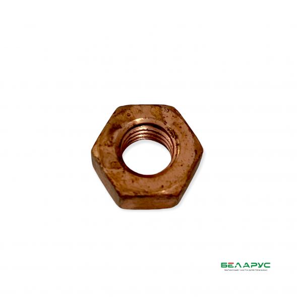 Гайка М10 250512-П5